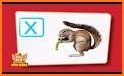 Animal Flash Cards related image
