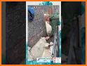 Sort Sheep Flock related image