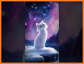 White Kitten Theme related image