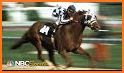 Derby Horse Racing Simulator related image