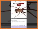 Spider Identifier App by Photo related image