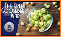 Gooseberries related image