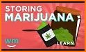 Kushy - Cannabis Directory & Dispensary Info related image