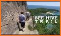 BEE Trail related image