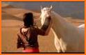 Arabian Horse Association related image