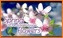 Spring Flowers 3D Parallax Pro related image
