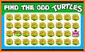 Tortuga Quiz related image