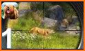 Real Animal Hunter - New Deer Hunting Games related image