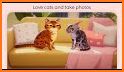 My Cat Club: Collect Kittens related image
