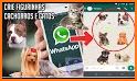 Figurinhas Whatsapp - Stickers para seu whatsapp related image