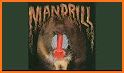 My Talking Mandrill related image