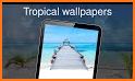 Tropical Wallpapers related image
