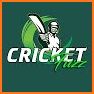 Cricket Fuzz related image