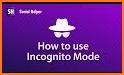 Story Post Saver - Incognito Mode related image