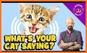 Meow Translator : How to understand your kittens related image