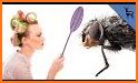 Flies Are So Annoying related image