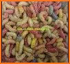 larva coloring worms related image