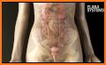 Pregnancy Idle 3D related image