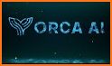 Orca: The Marine CoPilot related image