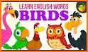 Animal Memory Game for Kids + Birds Fruits & More related image