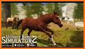 Ultimate Horse Simulator 2 related image