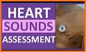 Cardio-Pulmonary Sound related image