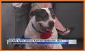 The Pet Stop AK related image