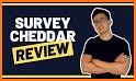 Cheddar Paid Cash Surveys related image