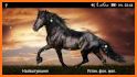 Horses 3D Live Wallpaper related image