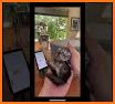 Meow Translator : Human to Cats related image