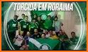 Palmeiras Fanático related image