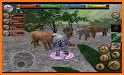 Wild Rhino Family Jungle Simulator related image