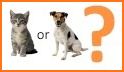 Are you a dog or a cat? Test related image