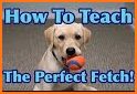 Fetch Retriever related image