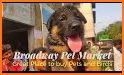 Pet Market, buy & sell related image