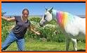 Horse And Donkey Pixel Coloring By Number related image