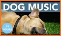 Relax Music for Dogs related image