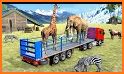 Wild Animal Transport: Multi Level Parking Games related image