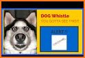 Anti-Dog Whistle- Train your Dog related image