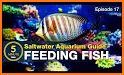 Feed Ocean Fish and Grow  tips related image