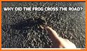 Cross The Road: The Frog related image
