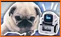 My little Pug - Care and Play related image