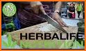 Herbalife Recipes - Independent Associate related image