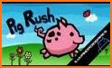 Pig Rush related image
