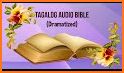 The Holy Bible in Audio MP3 related image