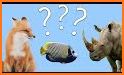 Guess the animal name, Learning the animal related image