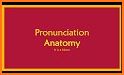 Anatomy Pronunciations related image