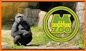 Memphis Zoo related image