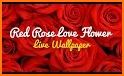I Love Flowers Live Wallpapers, Free Rose Images related image