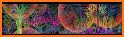 Flora Bloom Multicolor NXV85 related image